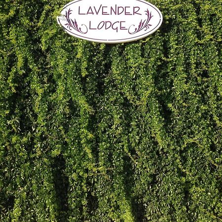 Lavender'S Lodge Hotel Kalkan Exterior foto