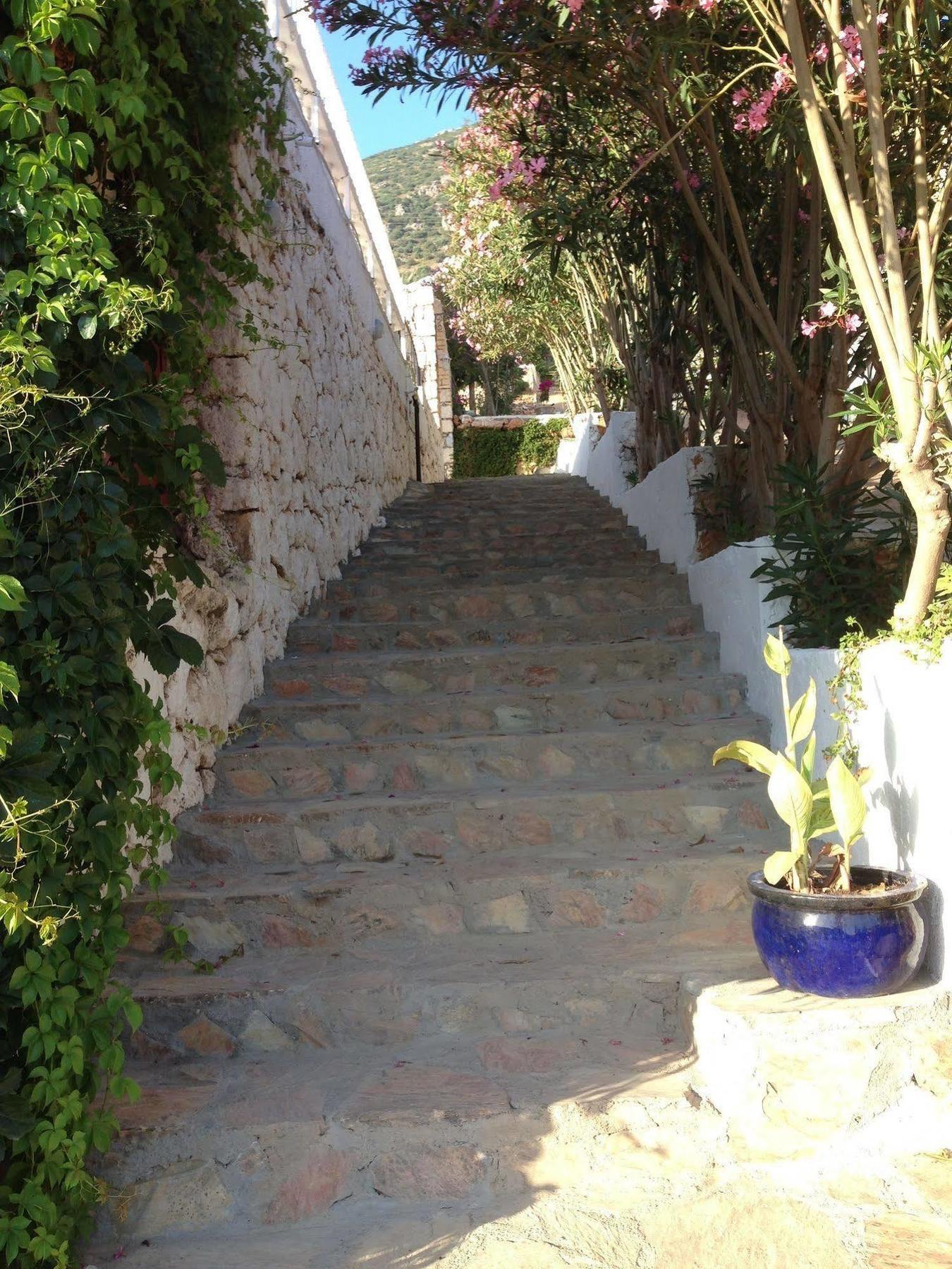 Lavender'S Lodge Hotel Kalkan Exterior foto
