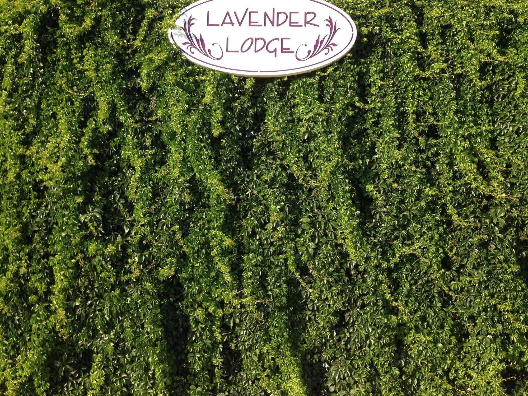 Lavender'S Lodge Hotel Kalkan Exterior foto